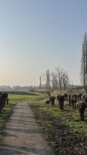 Mottepad Uitwijk van VVV Biesboschlinie