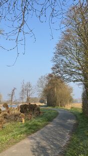 Uitwijk van VVV Biesboschlinie