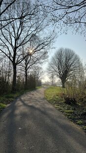 Uitwijk van VVV Biesboschlinie