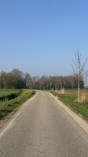 Uitwijk van VVV Biesboschlinie