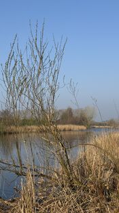 Wijde Alm, Uitwijk