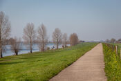 Langs de Bergsche Maas, Dussen van VVV Biesboschlinie