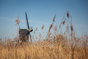 Noordeveldse molen, Dussen van VVV Biesboschlinie