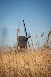 Noordeveldse molen, Dussen van VVV Biesboschlinie