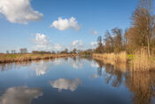 Rondje Fort Bakkerskil, Nieuwendijk van VVV Biesboschlinie