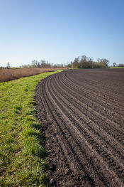 Rondje Fort Bakkerskil, Nieuwendijk van VVV Biesboschlinie