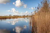 Rondje Fort Bakkerskil, Nieuwendijk van VVV Biesboschlinie