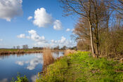 Rondje Fort Bakkerskil, Nieuwendijk van VVV Biesboschlinie