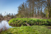 Rondje Fort Bakkerskil, Nieuwendijk van VVV Biesboschlinie