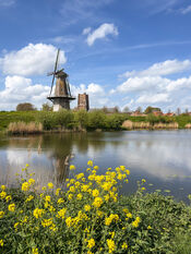 Molen 'Nooit Gedagt' en Martinustoren van VVV Biesboschlinie