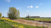 Zandwijkse molen, Sleeuwijk van VVV Biesboschlinie