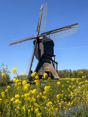 Noordeveldse molen, Dussen van VVV Biesboschlinie