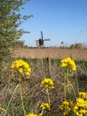 Noordeveldse molen, Dussen van VVV Biesboschlinie
