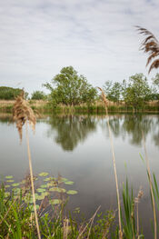 Pompveld van VVV Biesboschlinie