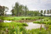 Pompveld van VVV Biesboschlinie