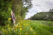 Pompveld van VVV Biesboschlinie