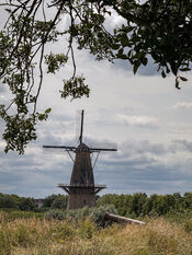 Molen Nooit Gedagt Woudrichem van VVV Biesboschlinie