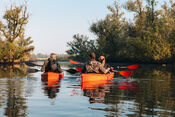 Kano&euml;n in de Biesbosch van VVV Biesboschlinie