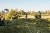 Biesbosch van VVV Biesboschlinie