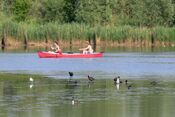 Kano&euml;n in de Biesbosch van VVV Biesboschlinie