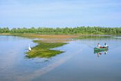 Kano&euml;n in de Biesbosch van VVV Biesboschlinie
