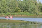 Kano&euml;n in de Biesbosch van VVV Biesboschlinie