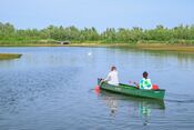 Kano&euml;n in de Biesbosch van VVV Biesboschlinie