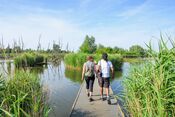 Wandelen in de Biesbosch van VVV Biesboschlinie