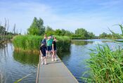 Wandelen in de Biesbosch van VVV Biesboschlinie