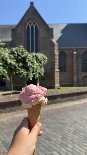 IJsje in Woudrichem van VVV Biesboschlinie