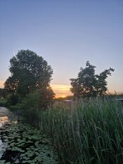 Natuur bij Fort Bakkerskil van VVV Biesboschlinie