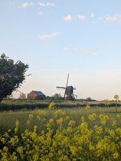Zevenbansche boezem van VVV Biesboschlinie