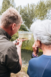 Eendenkooi Het Pompveld van VVV Biesboschlinie