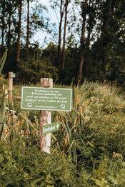 Eendenkooi Het Pompveld van VVV Biesboschlinie