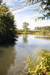 Eendenkooi Het Pompveld van VVV Biesboschlinie