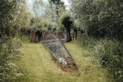 Eendenkooi Het Pompveld van VVV Biesboschlinie
